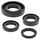 Engine Oil Seal Kit WINDEROSA 822246
