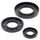 Oil seal set WINDEROSA PWC 622202