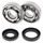 Crankshaft bearing and seal kit All Balls Racing CB24-1025