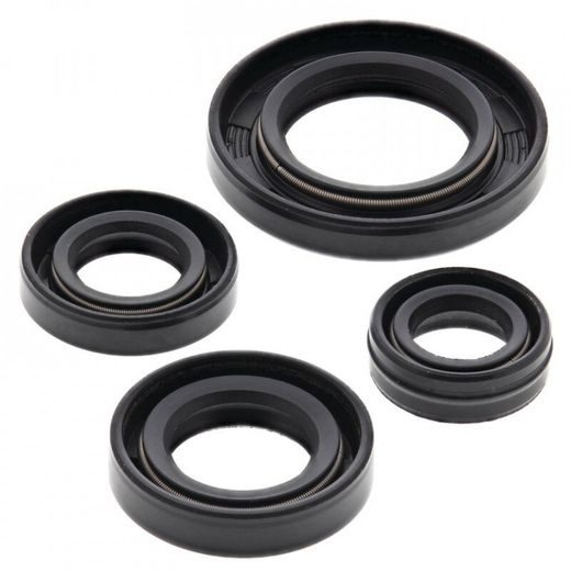 ENGINE OIL SEAL KIT WINDEROSA 822272