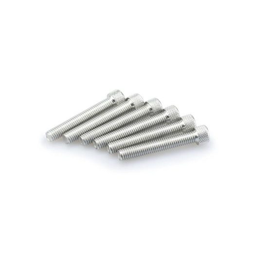 SCREWS PUIG ANODIZED 0524P SILVER M8 X 50MM (6PCS)
