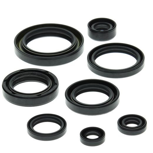 ENGINE OIL SEAL KIT WINDEROSA EOSK 822157