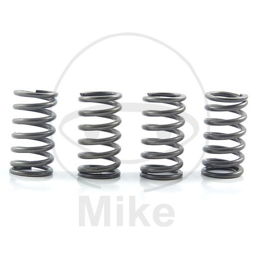 CLUTCH SPRING KIT EBC CSK098 4