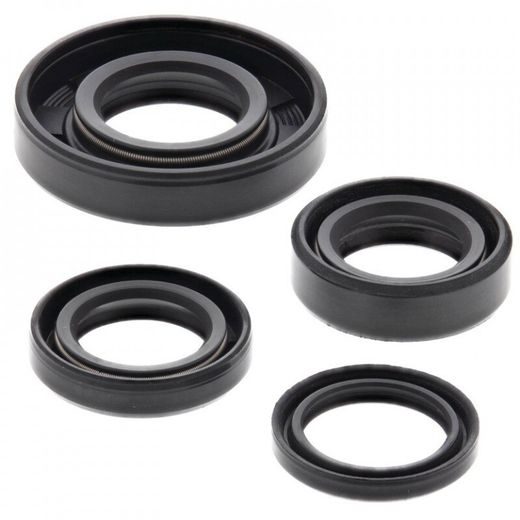 ENGINE OIL SEAL KIT WINDEROSA 822246