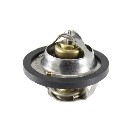 THERMOSTAT RMS 100120320