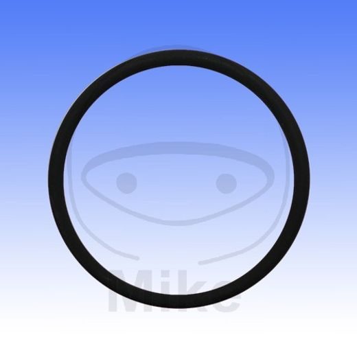 BRTVA ZA ISPUH ATHENA M753004300094 O-RING 43X3 MM