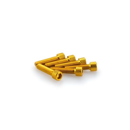 SCREWS PUIG ANODIZED 0544G YELLOW M6 X 25MM (6PCS)
