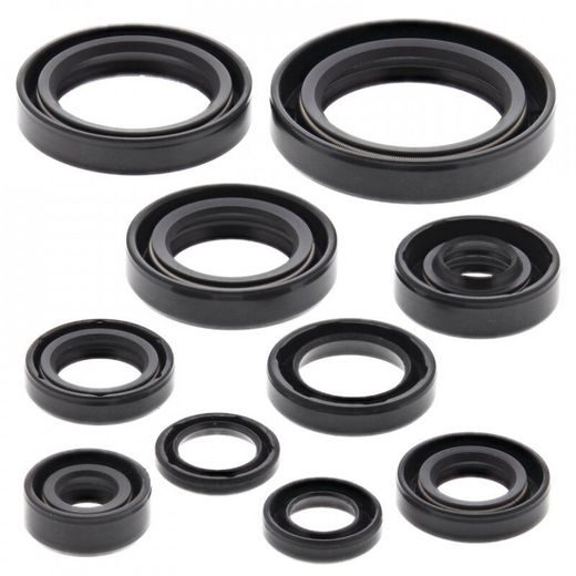 ENGINE OIL SEAL KIT WINDEROSA 822265