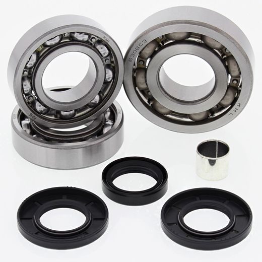 DIFFERENTIAL BEARING AND SEAL KIT ALL BALLS RACING DB25-2058