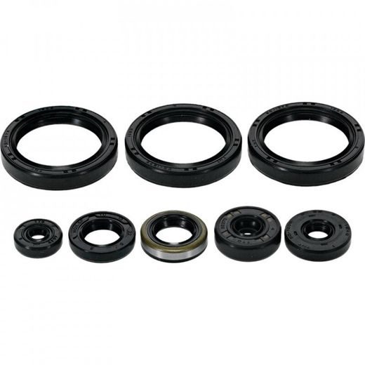 ENGINE OIL SEAL KIT WINDEROSA EOSK 822403