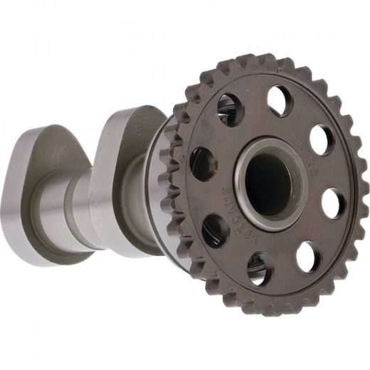 CAMSHAFT INTAKE HOT CAMS 4278-1IN