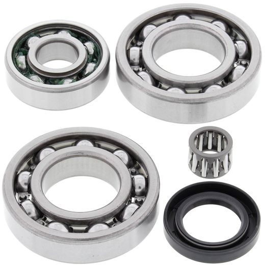 DIFFERENTIAL BEARING AND SEAL KIT ALL BALLS RACING DB25-2018