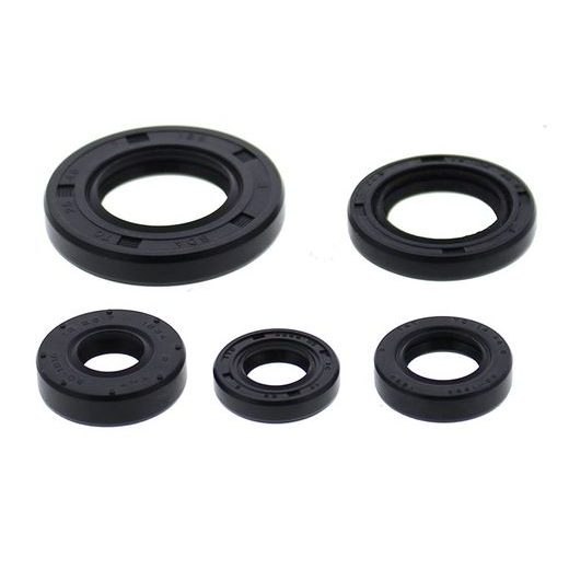 ENGINE OIL SEAL KIT WINDEROSA EOSK 822990