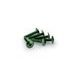 SCREWS PUIG ANODIZED 3995V GREEN M6 X 30MM (6PCS)