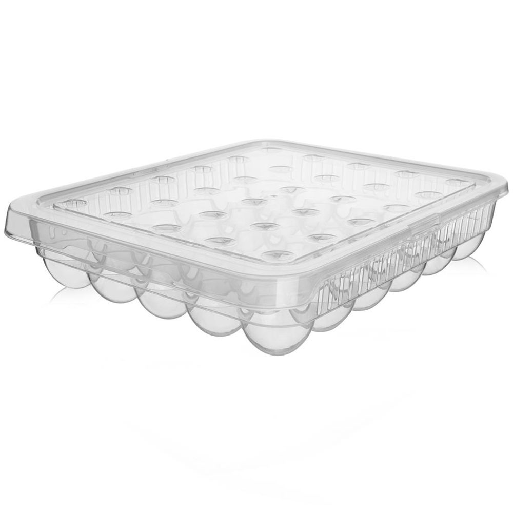 Box na vajíčka plast 30 - ORION domácí potřeby