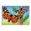 omalovánky Motýli 5300701