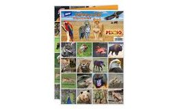 pexeso 3xA4 Zvířata ze ZOO 5300896