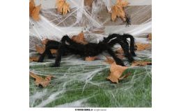 Chlupatý tvarovatelný pavouk - HALLOWEEN - 60 cm