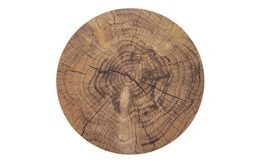 Cork placemat WOODEN diameter 38 cm