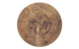 Prostírání korek WOODEN pr. 38 cm