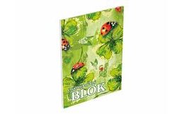 malování vodou - kartonový list + štětec 150x210mm mix č.2 5300995