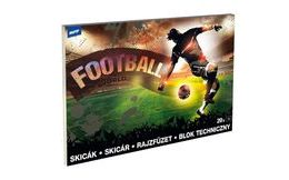 samolepky vánoční vločky 80x120mm zlatá 8882325