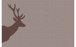 Prestieranie Deer - Jeleň