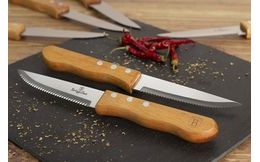 Steakový nůž a vidlička Solicut