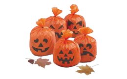 Decoration Pumpkin Bags - 20 pcs - Halloween