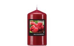 Vonná svíčka válec Wild Raspberry 60/110