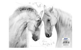 bloček mini kreslené 42x63mm - 35listů 7500997