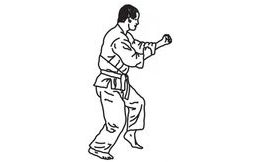 Patchwork - Karate/Judo Man