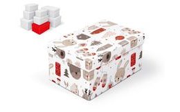krabice dárková vánoční B-V007-E 24x16x12cm 5370927