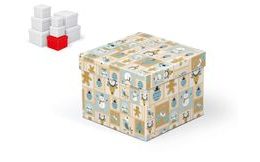 krabice dárková vánoční C-V001-D 14x14x11cm 5370696