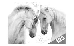 desky na číslice Koně 8021004