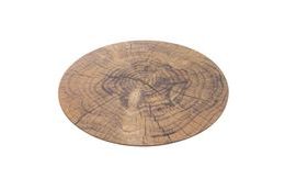 Prostírání korek WOODEN pr. 38 cm