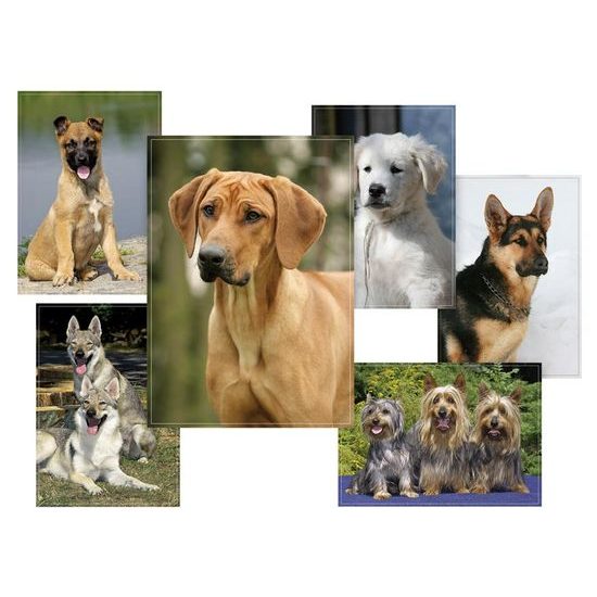 pohlednice sr Z028 B UV 1230242