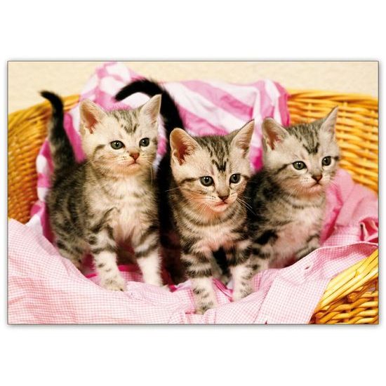 pohlednice sr Z038 B UV 1230303