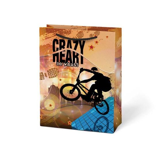 taška dárková T 4 mix č.63 190x250x90 5251212