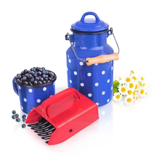 Blueberry picker/comb