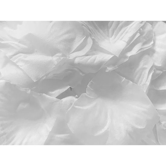 White rose petals - non-edible decoration