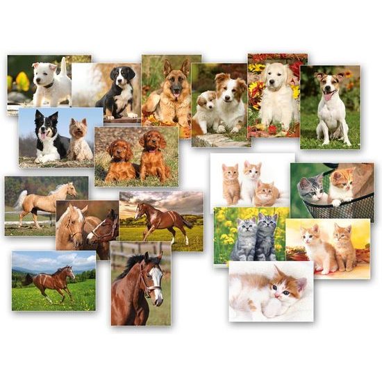 Pohľadnice Zvieratá MIX