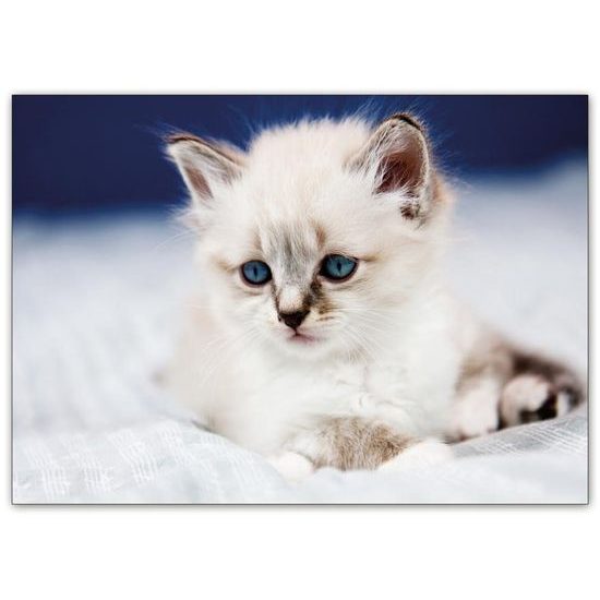 pohlednice sr Z038 B UV 1230303