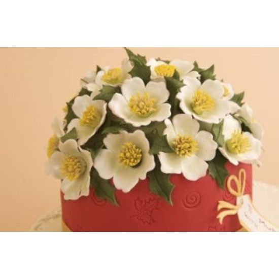 Patchwork vytlačovač Veľká vianočná ruža