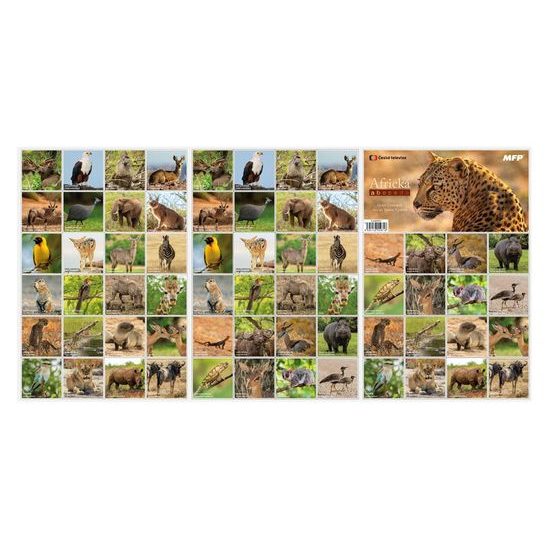 pexeso 3xA4 Africká abeceda (Václav Chaloupek) 5300997