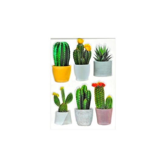Nálepky na stenu - 3D kaktusy - 29 x 49 cm