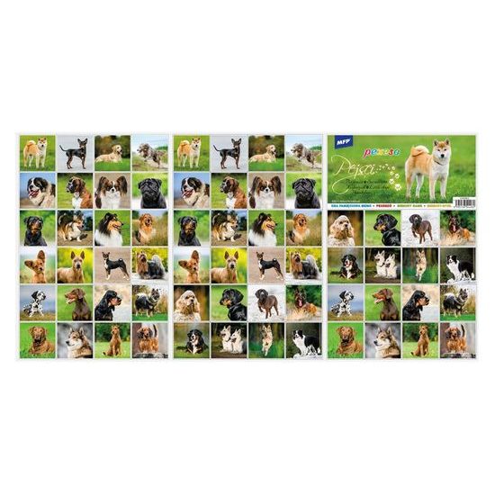 pexeso 3xA4 Pejsci 5300902