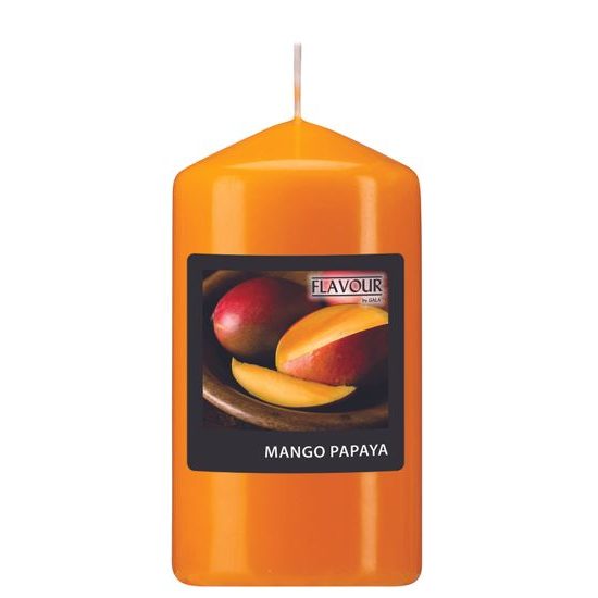 Vonná svíčka válec Mango-Papaya 60 /110