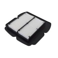 FILTER ZRAKA CHAMPION CAF2612 100605245