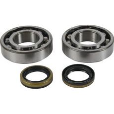 CRANKSHAFT BEARING AND SEAL KIT ALL BALLS RACING CB24-1122